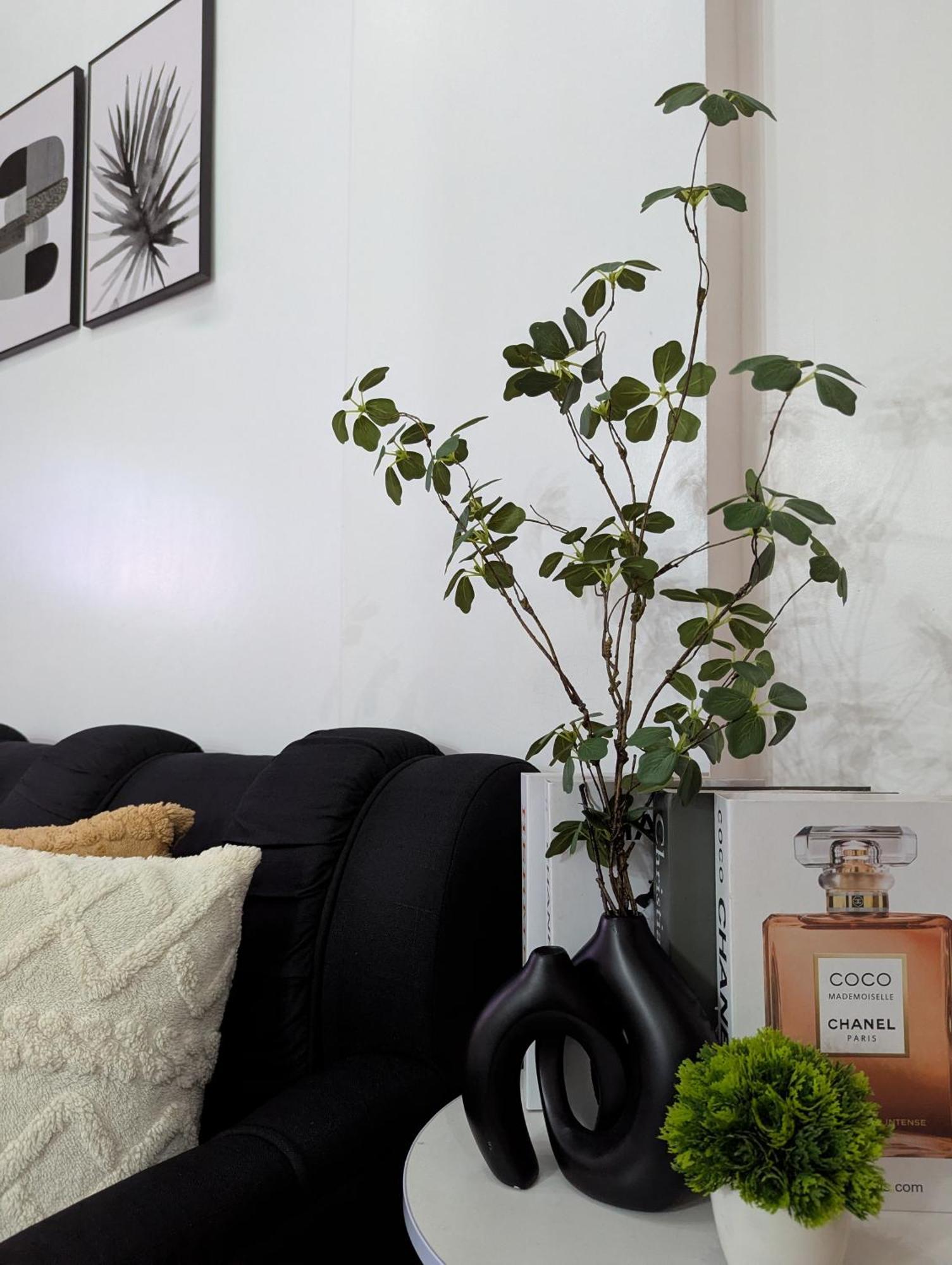 Emiliez Place Baguio City Екстериор снимка